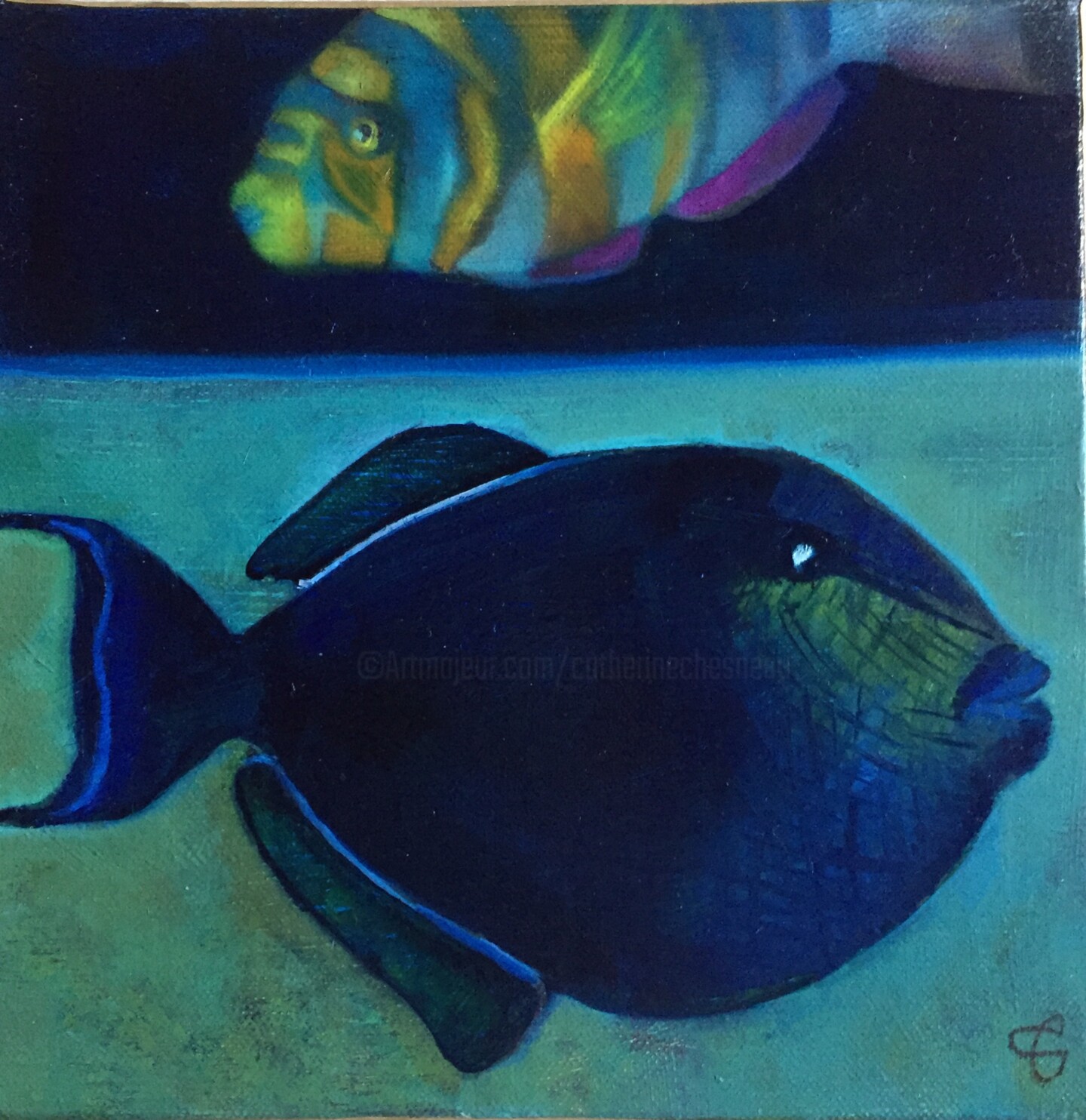 Catherine Chesneau - Fish & Fish